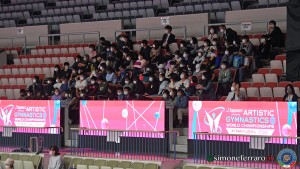 wag foto simone ferraro sfa 8332 copia